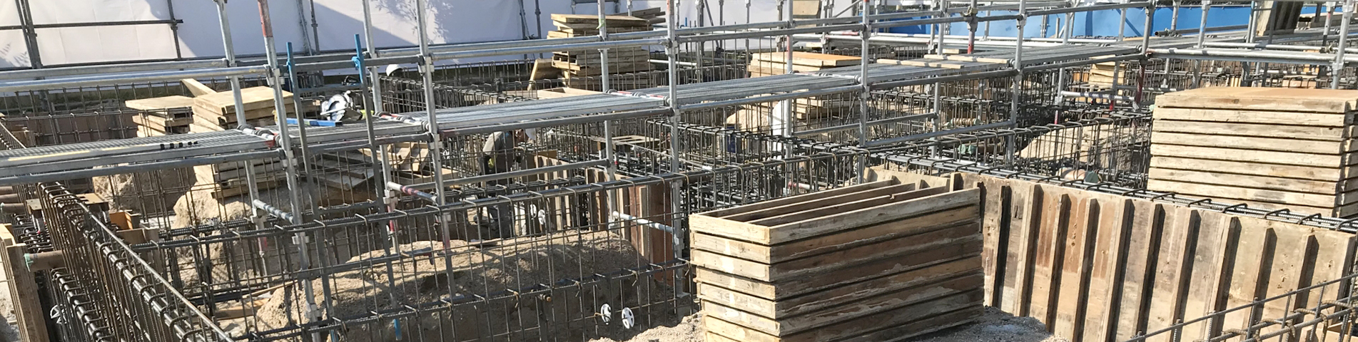 ここに画像が入ります